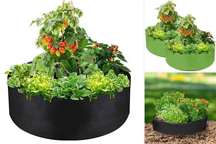 Detailed view of Best 36 Inch Diameter Grow Bags
