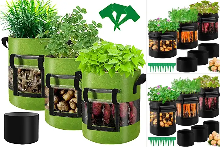 Detailed view of Best 360 Degree Ventilation Grow Bags