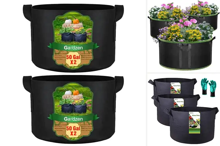 Detailed view of Best 50 Gallon Pots for Strong, Healthy Plant Growth