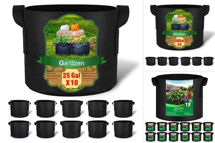 Detailed view of Best Aeration Bags: Top 10 Picks for a Thriving Garden