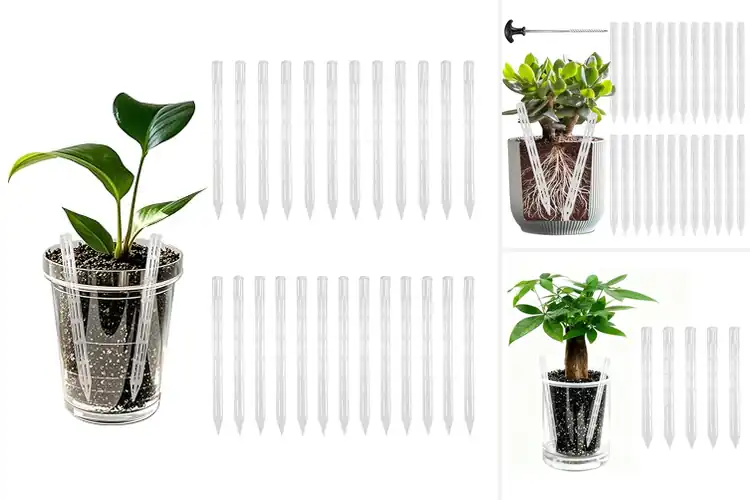 Detailed view of Best Aeration Containers For Healthy Roots
