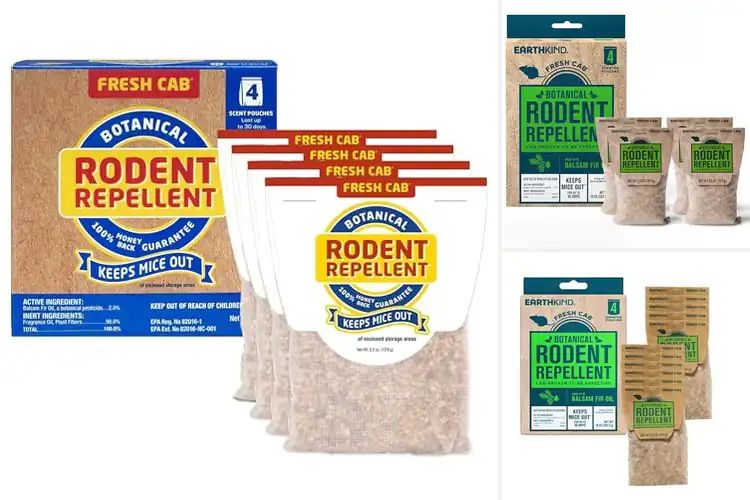 Detailed view of Best Botanical Mice Repellents