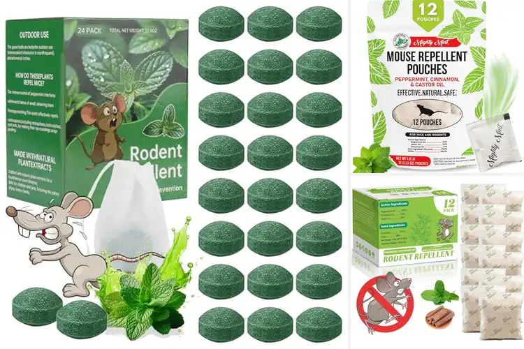 Detailed view of Best Botanical Mouse Deterrents