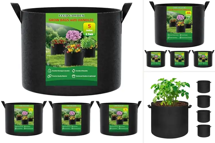 Detailed view of Best Breathable Grow Bags For Outdoors