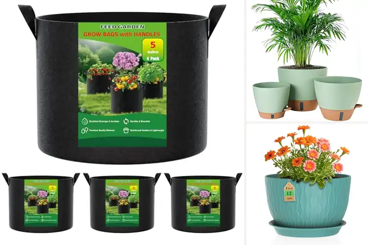 Detailed view of Best Breathable Plant Pots For Outdoor Plants