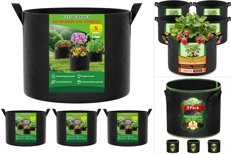 Detailed view of Best Breathable Plant Pots for Strong, Healthy Growth