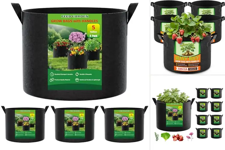 Detailed view of Best Breathable Planters : Thrive Effortlessly