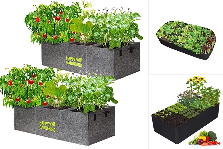 Detailed view of Best Collapsible Garden Beds
