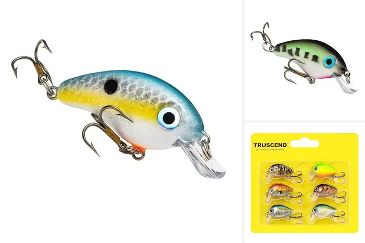 Detailed view of Best Crankbaits For Pond Fishing