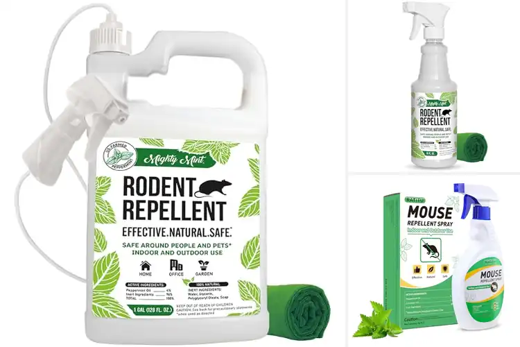 Detailed view of Best Durable Peppermint Oil Rodent Repellent