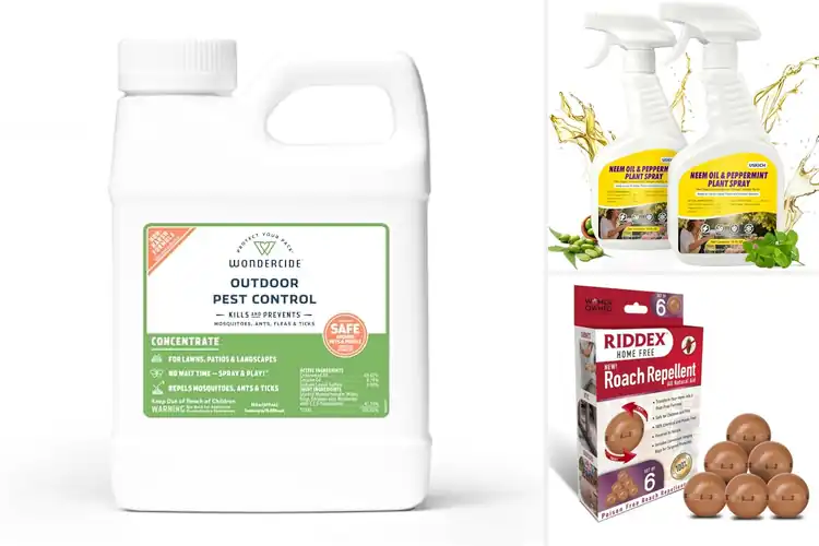 Detailed view of Best Durable Plant Essential Oil Pest Control