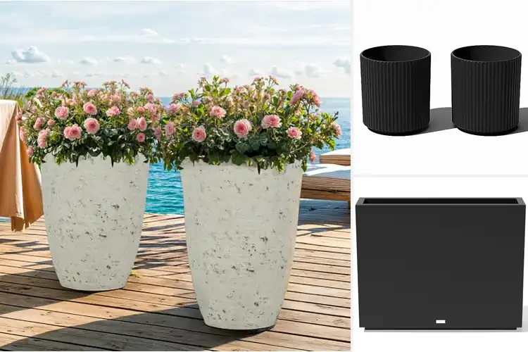 Detailed view of Best Durable Planters