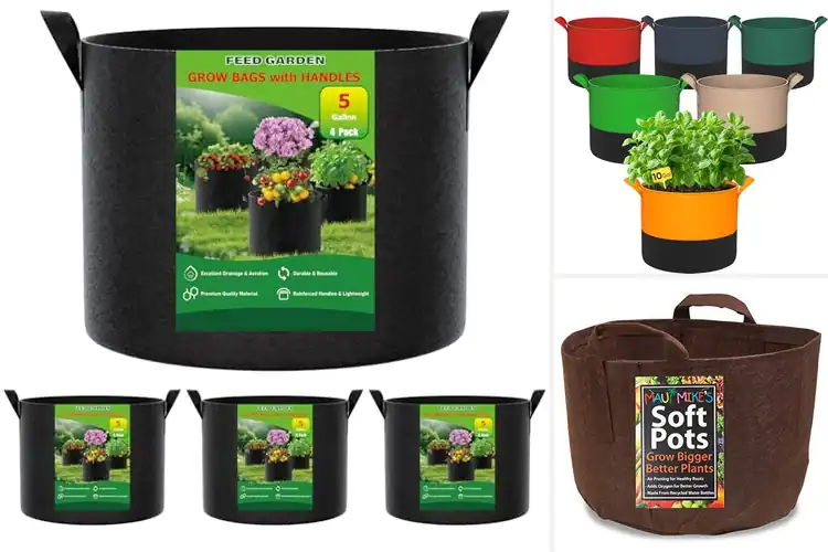 Detailed view of Best Easy Storage Fabric Pots