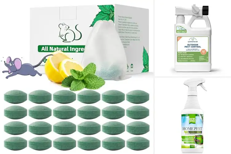 Detailed view of Best Eco-Friendly Pest Controls