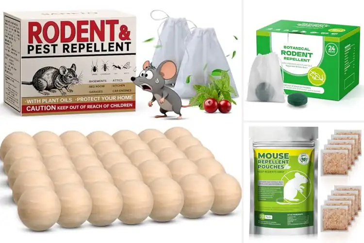 Detailed view of Best Eco Friendly Rodent Deterrents