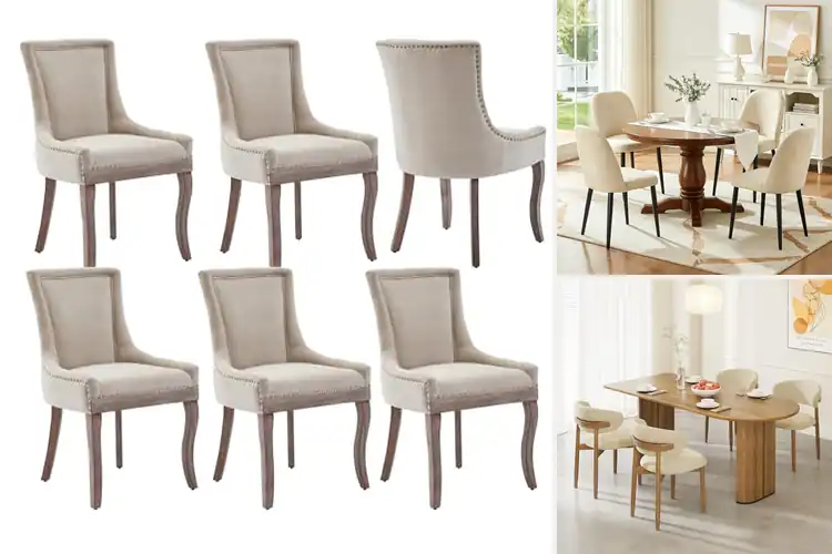 Detailed view of Best Fabric Dining Chairs with Backs
