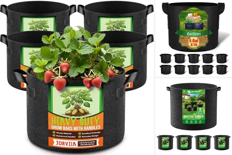 Detailed view of Best Fabric Planters For Vegetables
