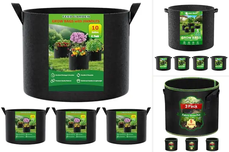 Detailed view of Best Fabric Pots For Outdoor Plants