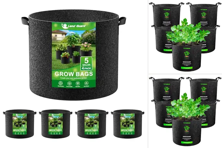 Detailed view of Best Fabric Pots: Grow Healthier Plants Effortlessly