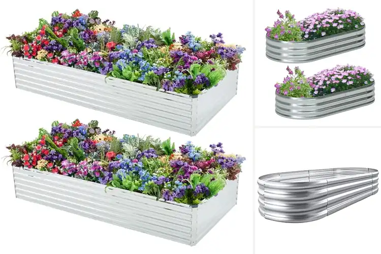 Detailed view of Best Garden Beds