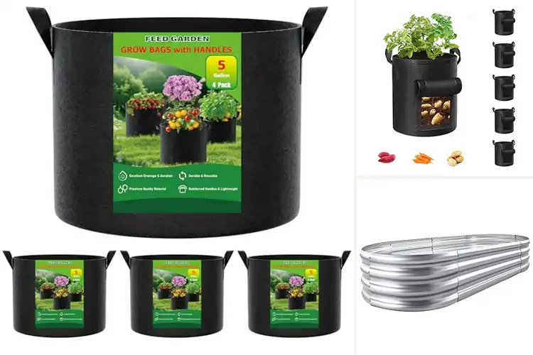 Detailed view of Best Gardening Containers for Easy, Confident Growing