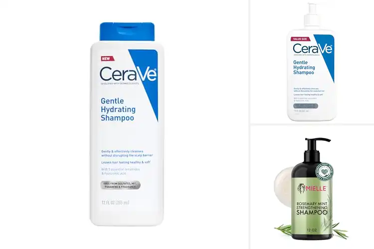 Detailed view of Best Gentle Hair Shampoos