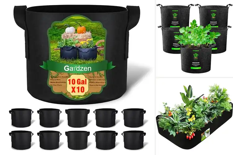 Detailed view of Best Grow Bags: Grow More with These 10