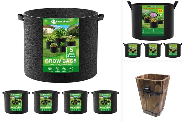 Detailed view of Best Handle Planters