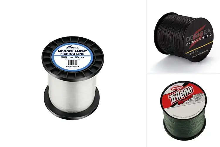 Detailed view of Best High Strength Fishing Lines for Power & Performance