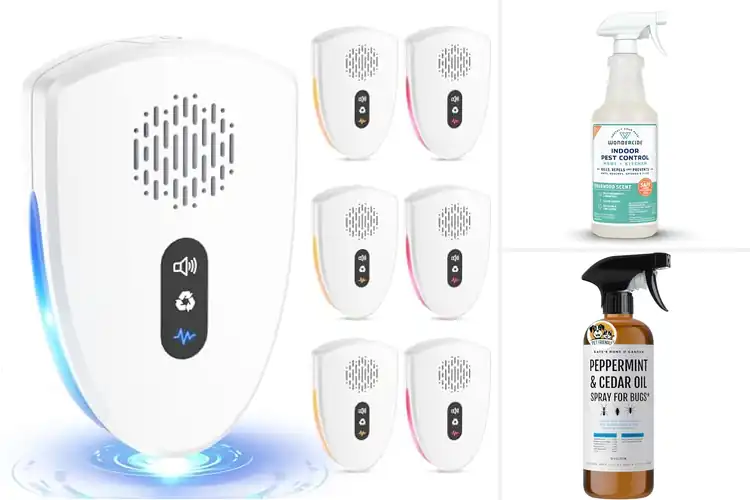 Detailed view of Best Home Pest Control For Homes