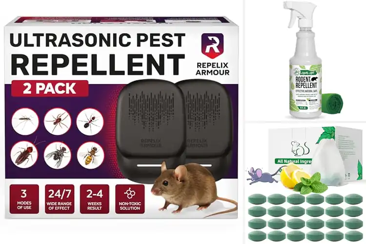Detailed view of Best Household Rodent Repellents: Top 10 Pest-Free Solutions