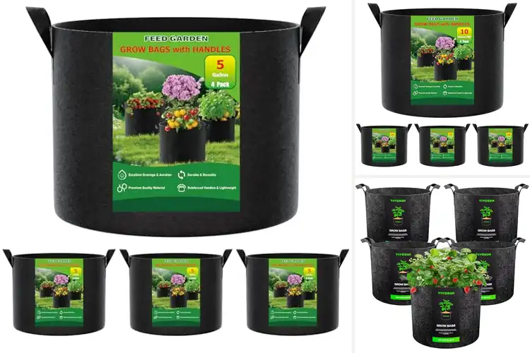 Detailed view of Best Indoor Outdoor Plant Bags