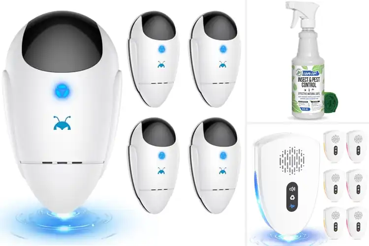Detailed view of Best Indoor Pest Controls