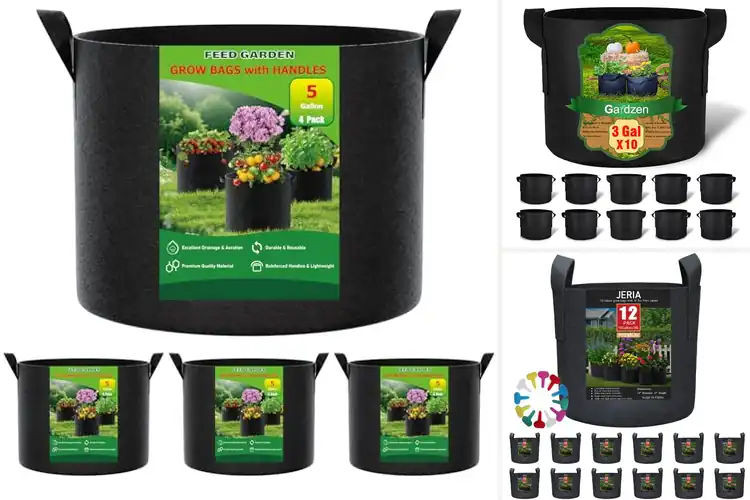 Detailed view of Best Indoor Plant Bags
