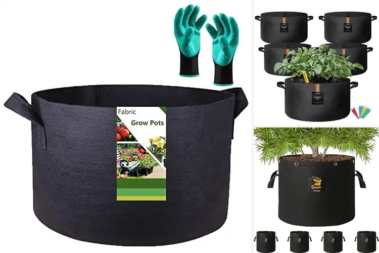 Detailed view of Best Large Capacity Grow Bags For Small Yards