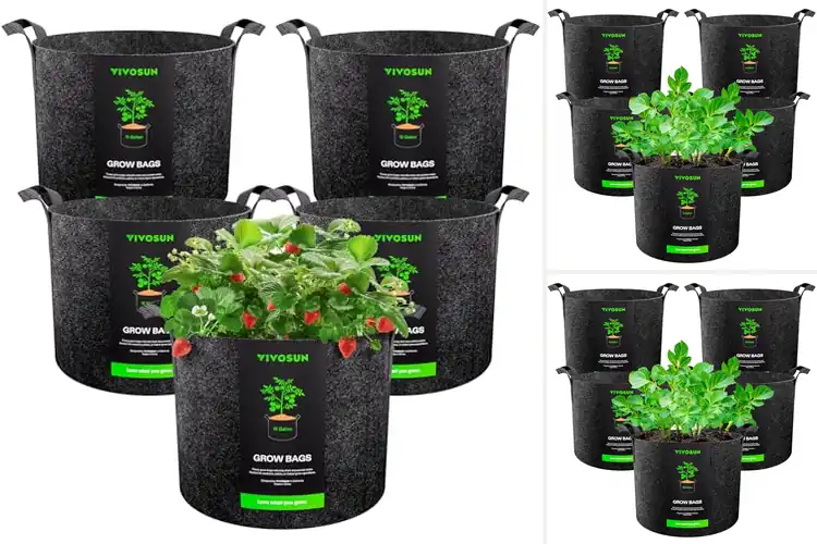 Detailed view of Best Large Fabric Planters: Grow More