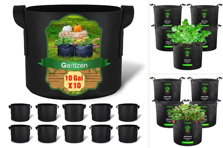 Detailed view of Best Large Plant Grow Bags