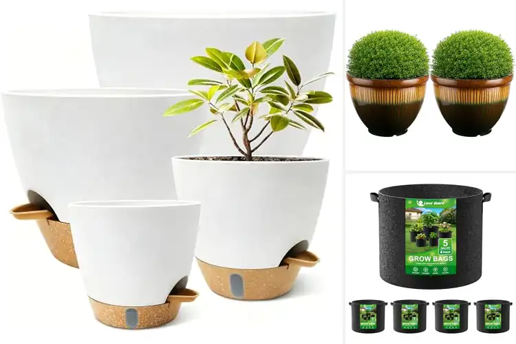 Detailed view of Best Large Plant Pots : Style & Space for Your Plants