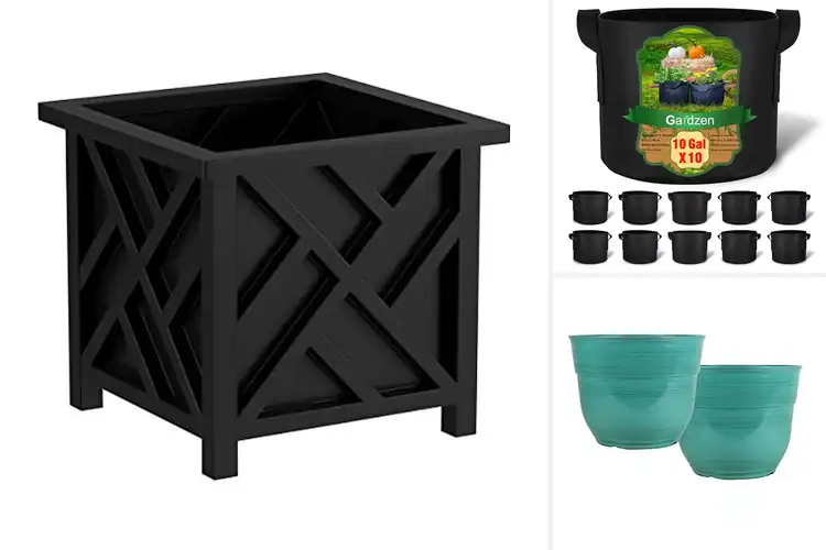 Detailed view of Best Large Planters to Instantly Upgrade Your Space