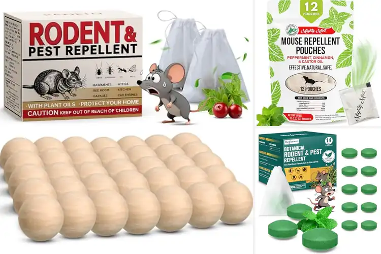 Detailed view of Best Long-lasting Mouse Deterrents