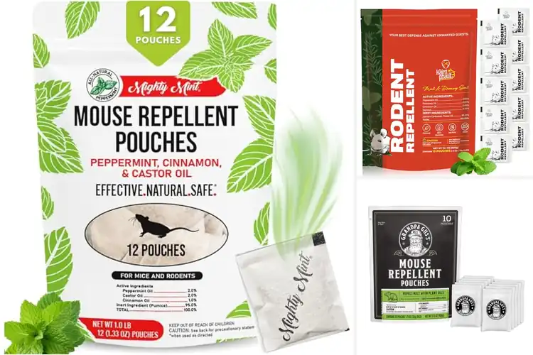 Detailed view of Best Long-Lasting Mouse Pouches