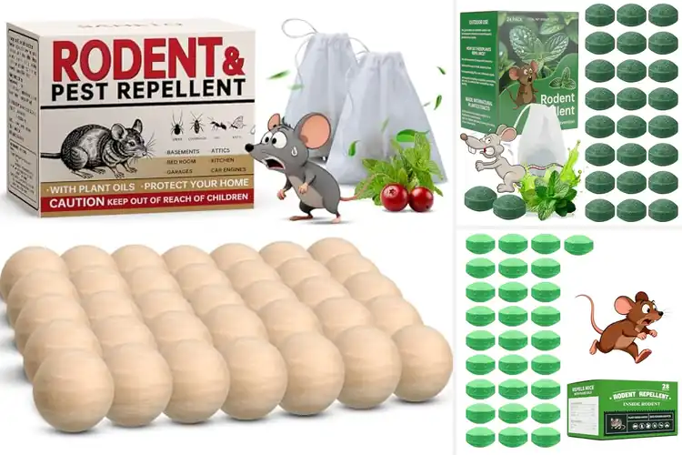 Detailed view of Best Long Lasting Mouse Repellent
