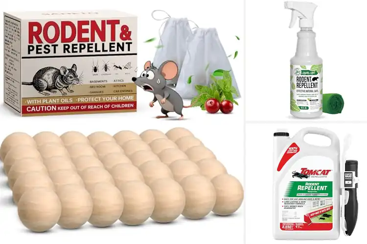 Detailed view of Best Long-Lasting Mouse Repellents