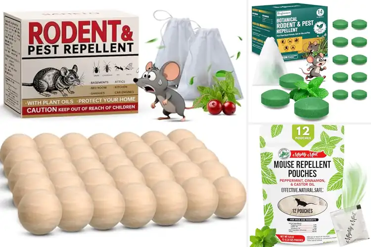 Detailed view of Best Long Lasting Peppermint Scent Rodent Deterrent