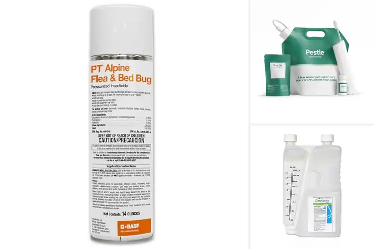 Detailed view of Best Long-Lasting Pest Controls