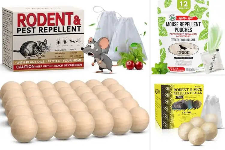 Detailed view of Best Long Lasting Rodent Deterrent