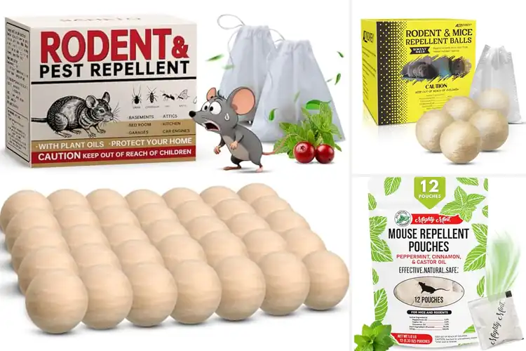 Detailed view of Best Long Lasting Rodent Deterrent Scent