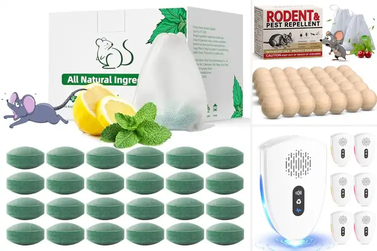 Detailed view of Best Mice Deterrents: 10 Top Solutions for a Pest-Free Home