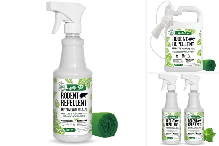 Detailed view of Best Mint Oil Rat Repellents