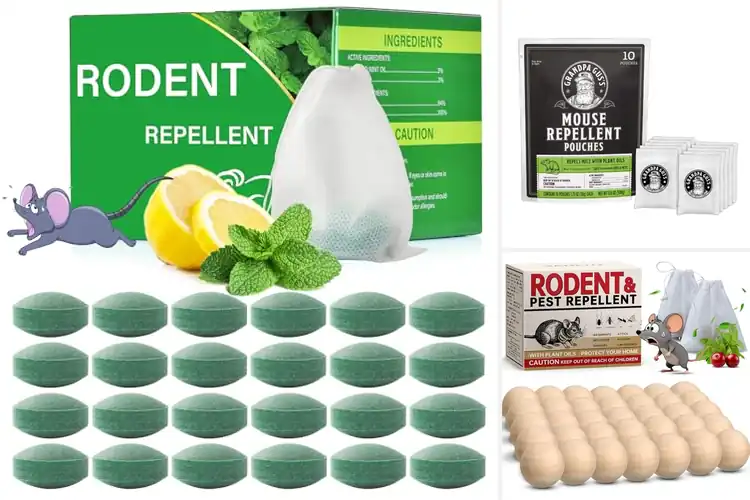 Detailed view of Best Mouse Deterrents